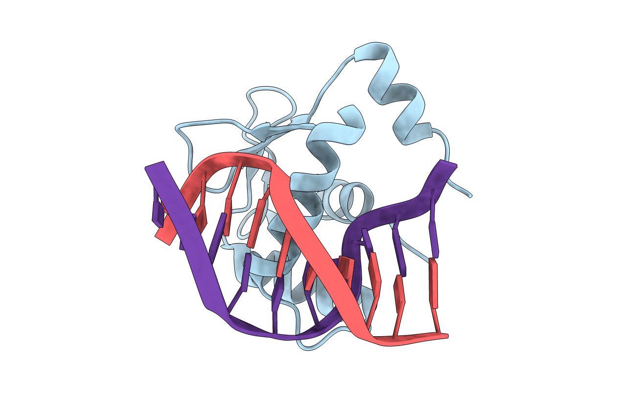 4BNC image