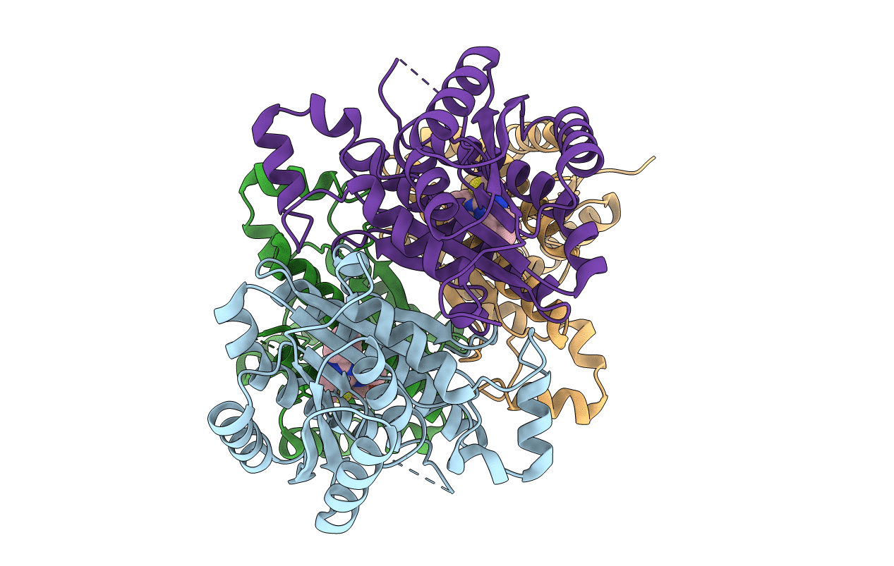 4BNY image