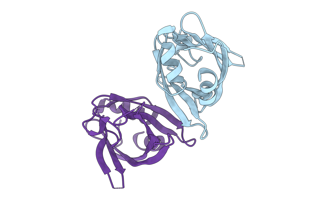 4BOD image