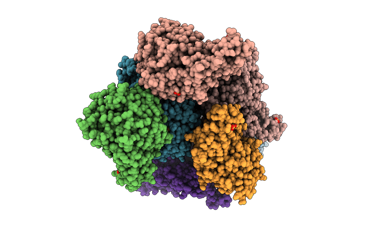 4BOF image