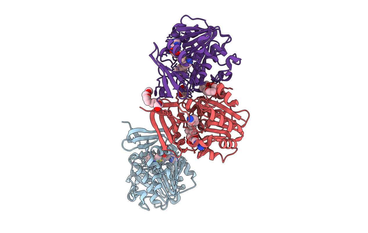 4BP3 image