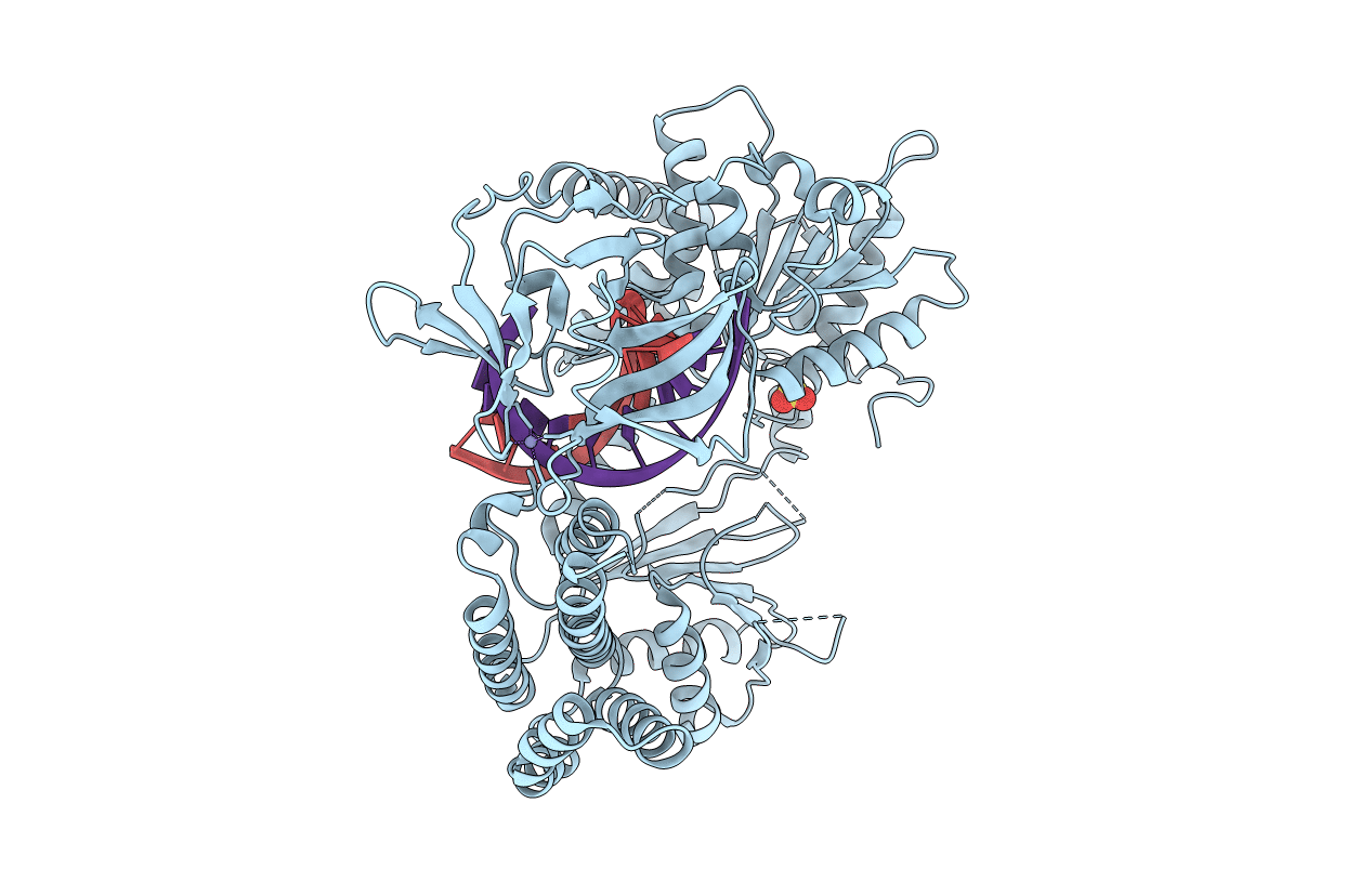 4BPB image