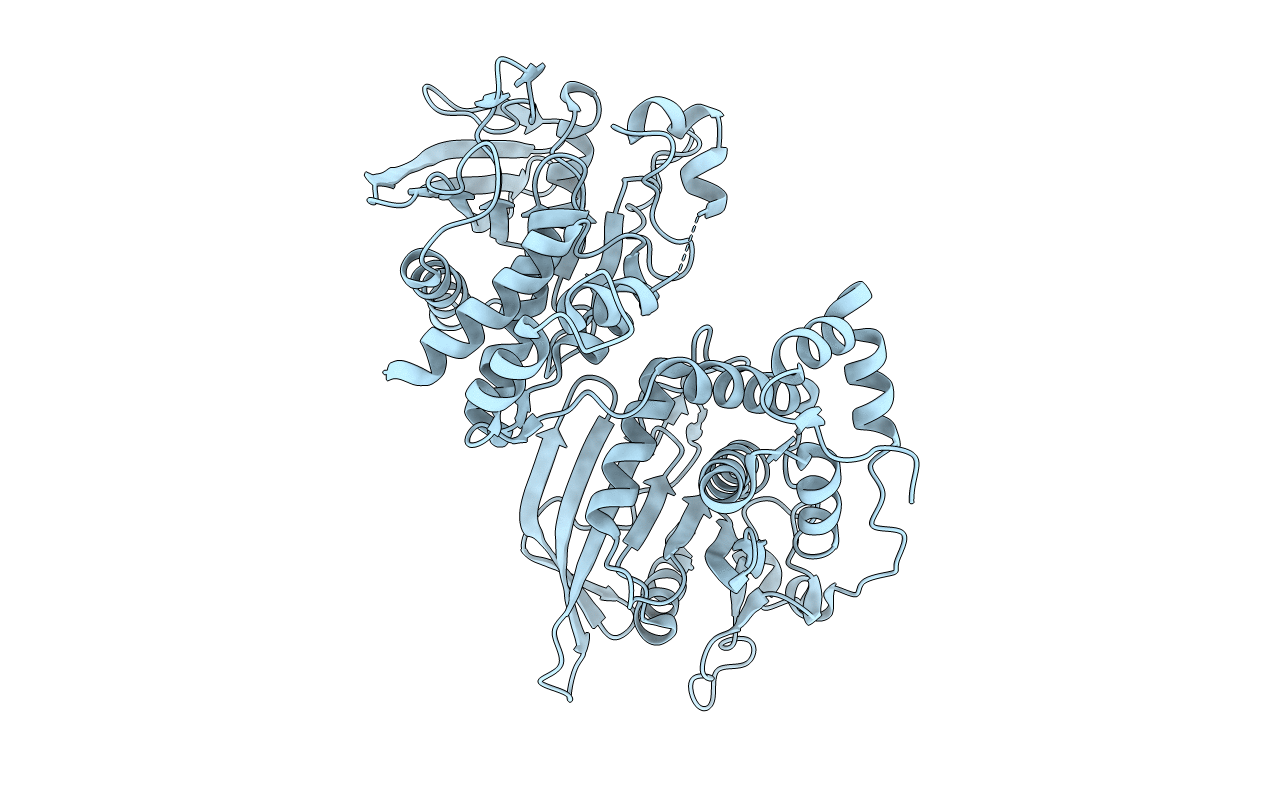 4BPC image