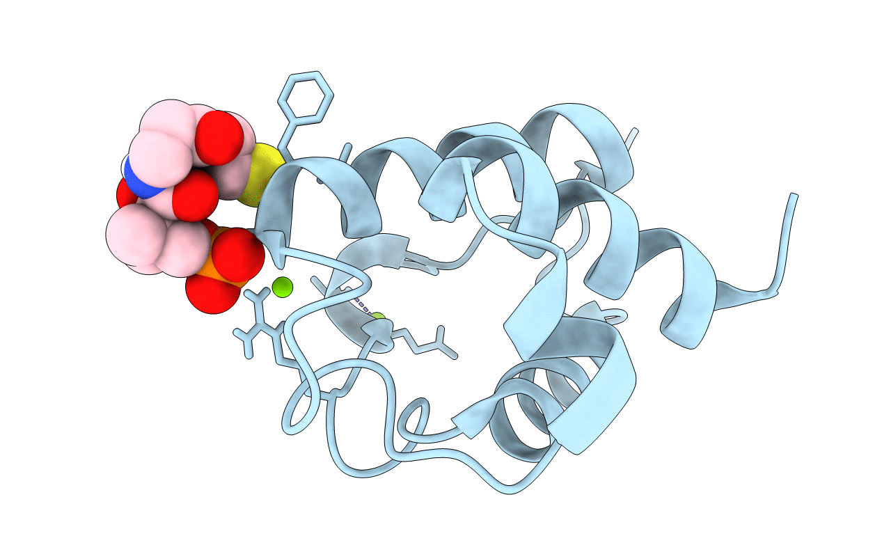 4BPH image