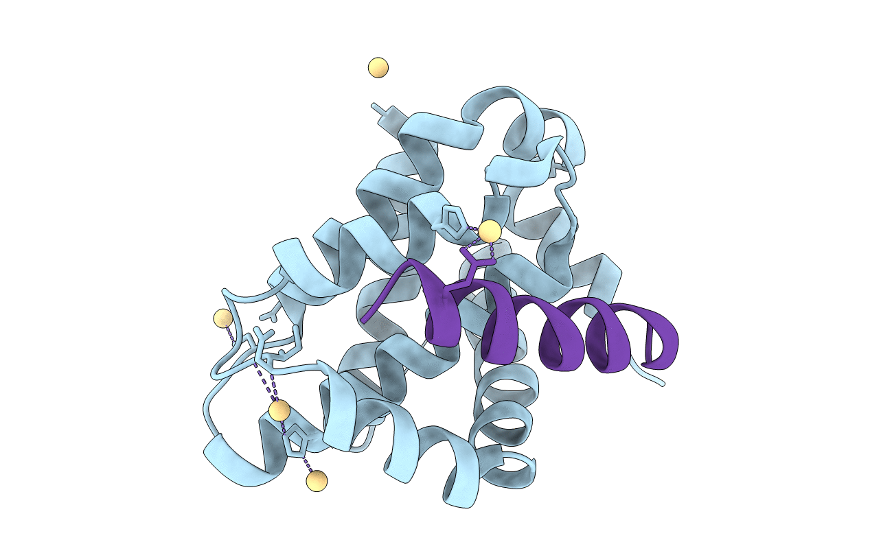 4BPI image
