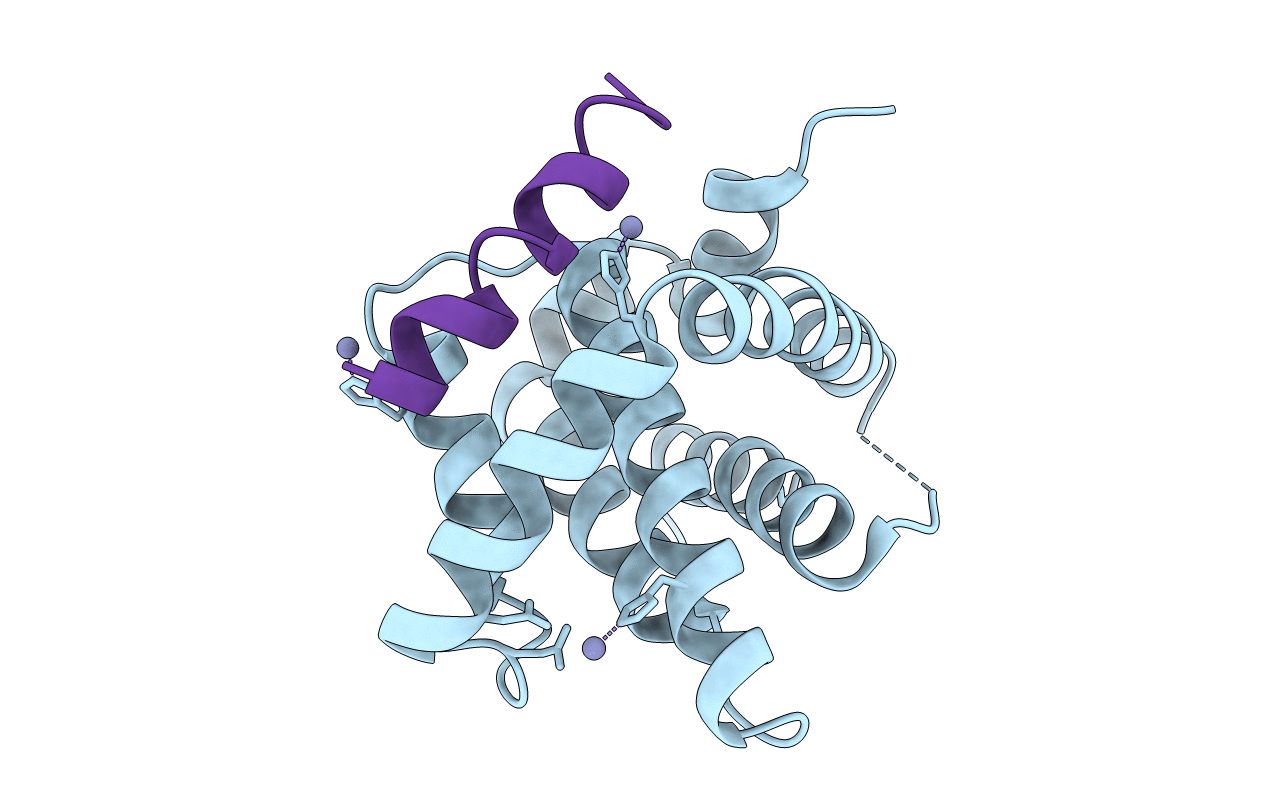 4BPJ image