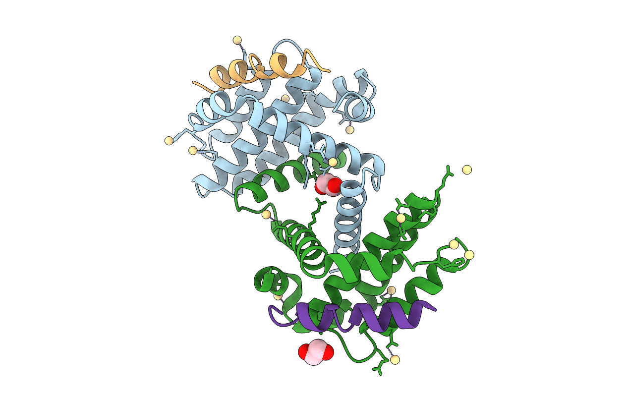 4BPK image