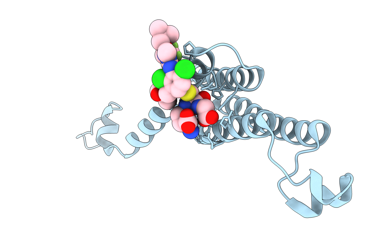 4BPM image