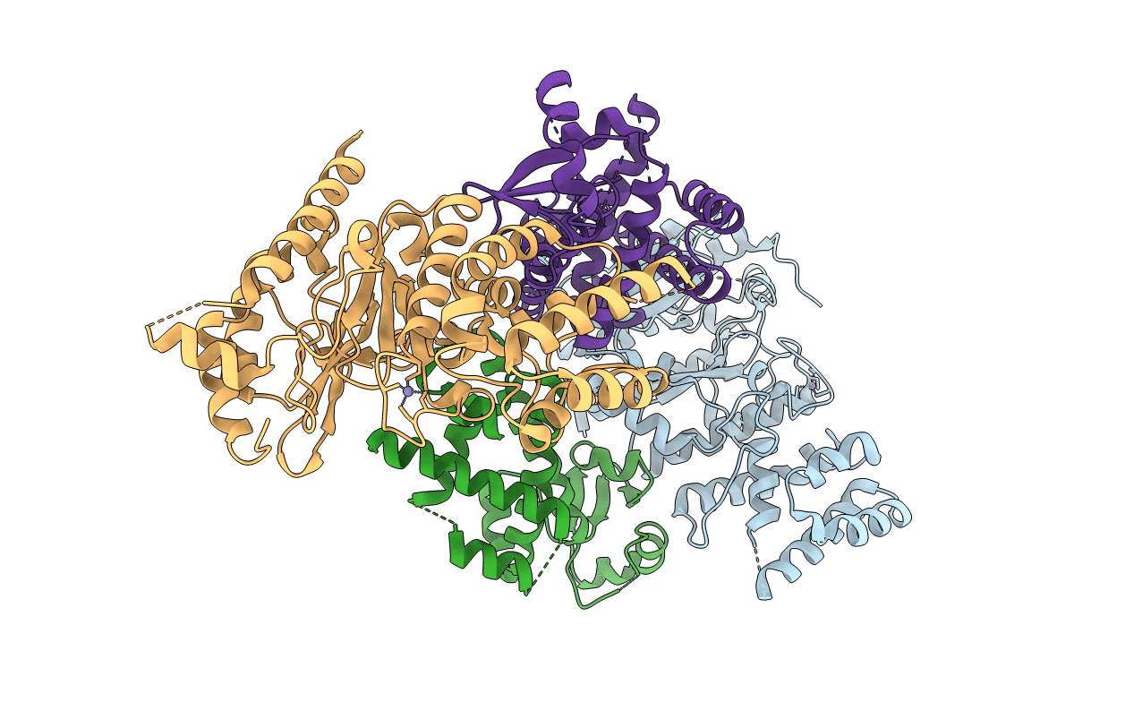 4BPX image