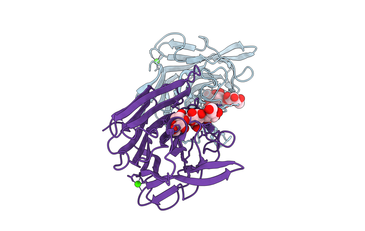 4BPZ image