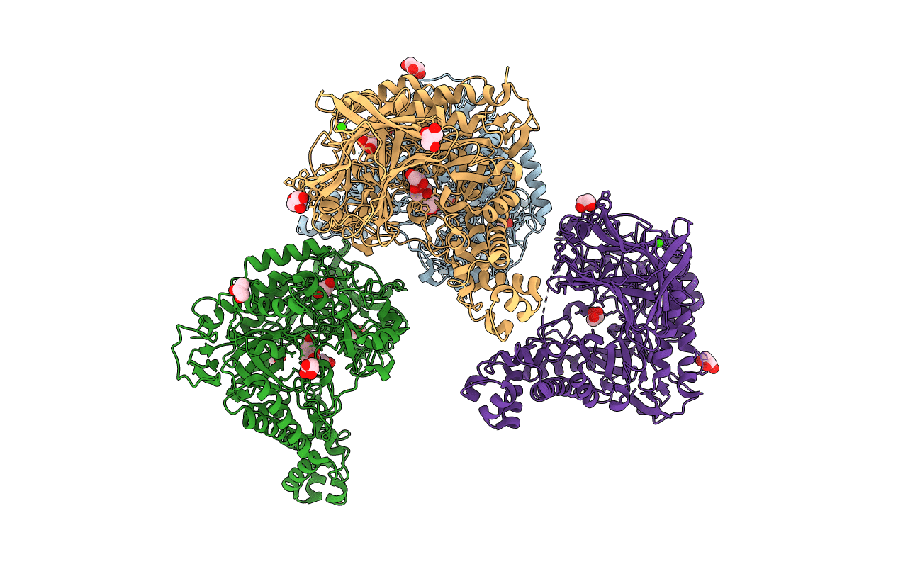 4BQ2 image
