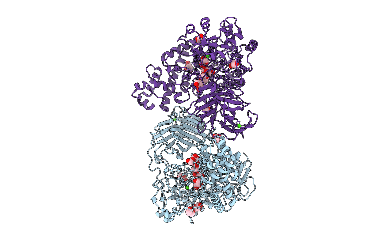 4BQ4 image