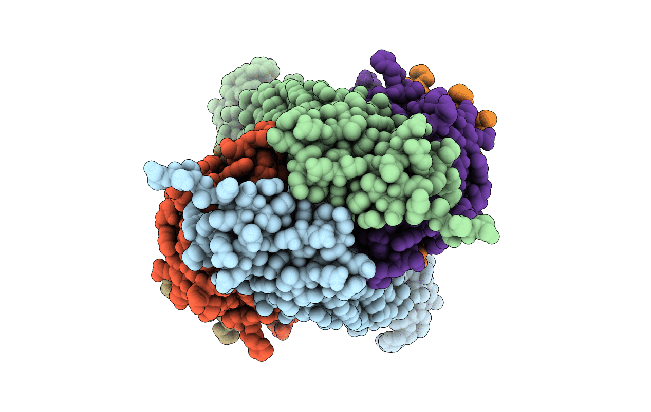 4BQ6 image