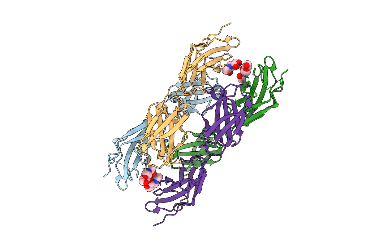 4BQB image