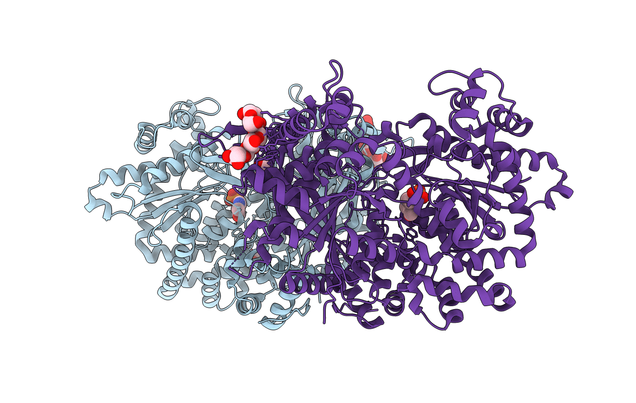4BQI image