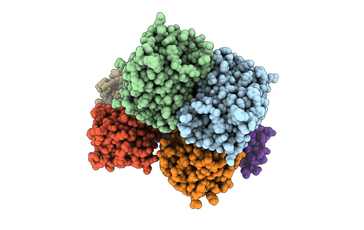 4BQP image