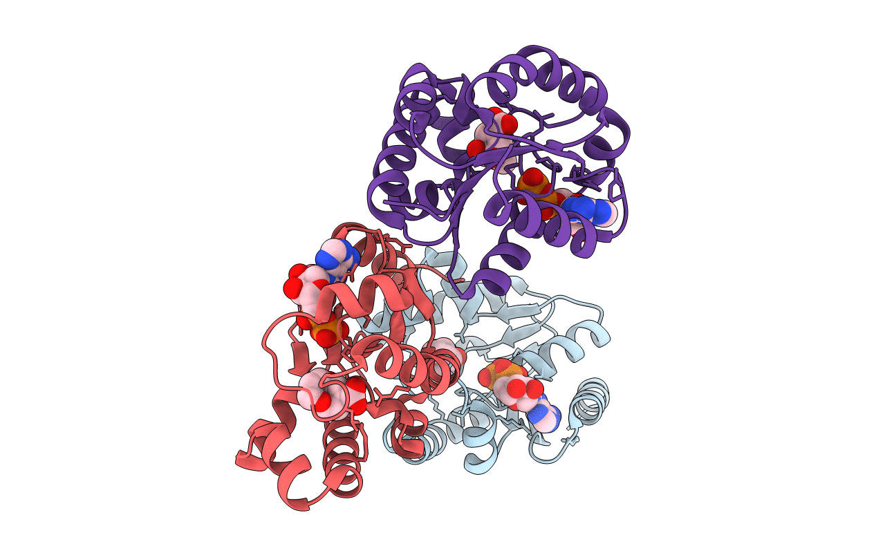 4BQS image