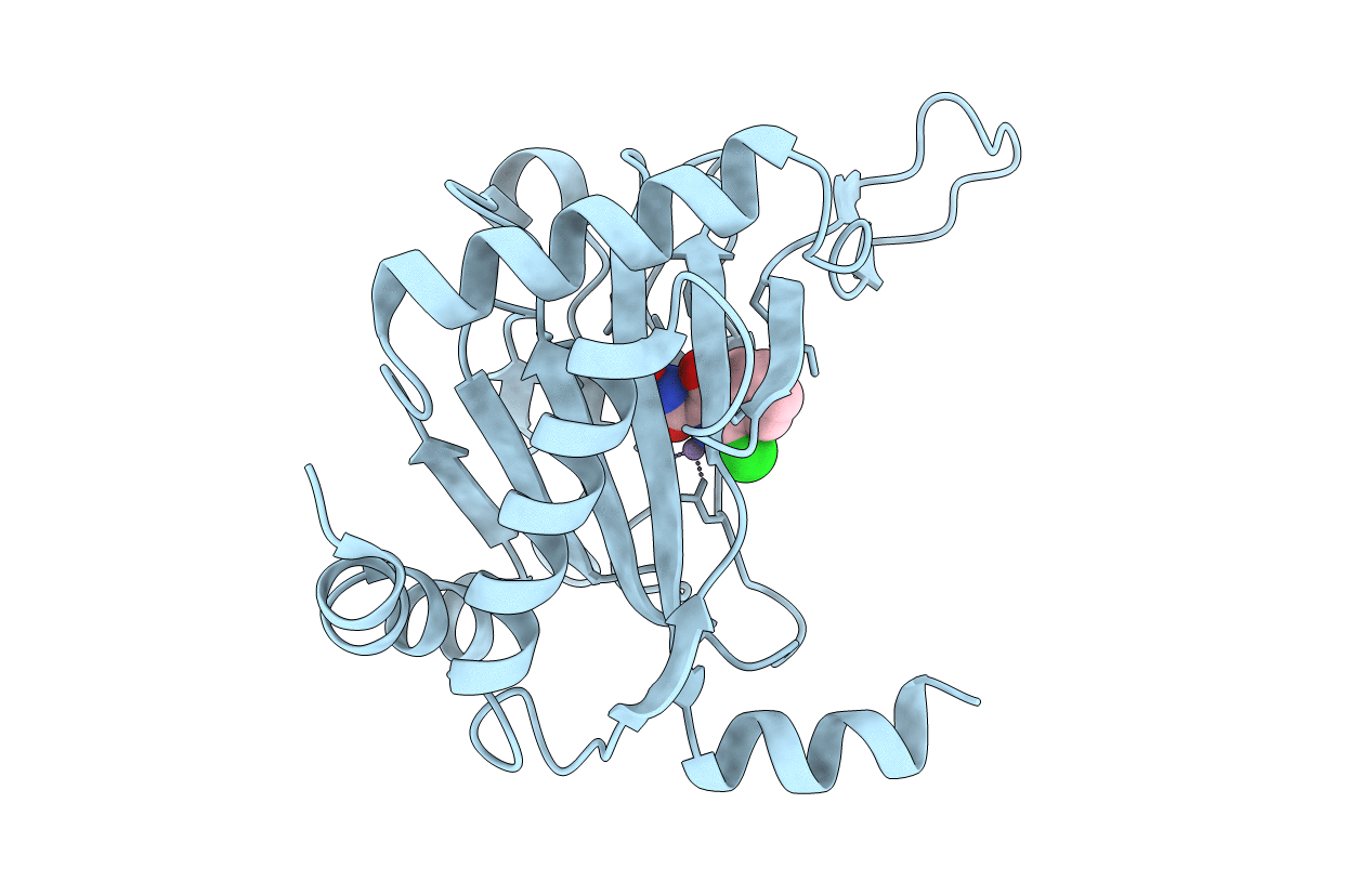 4BQX image