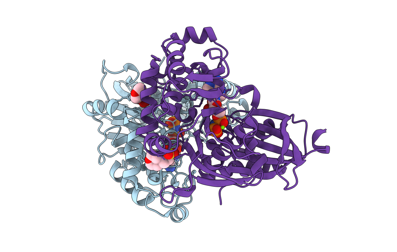4BRC image