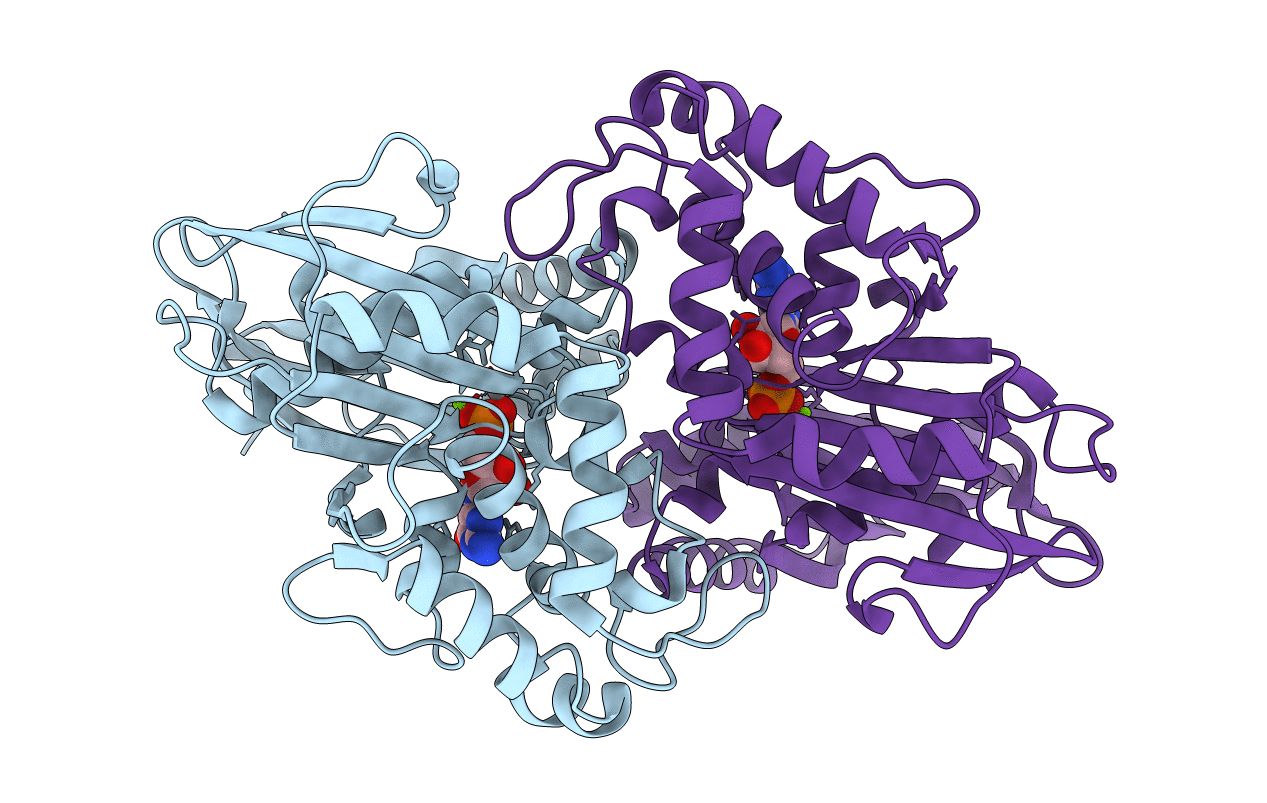 4BRL image