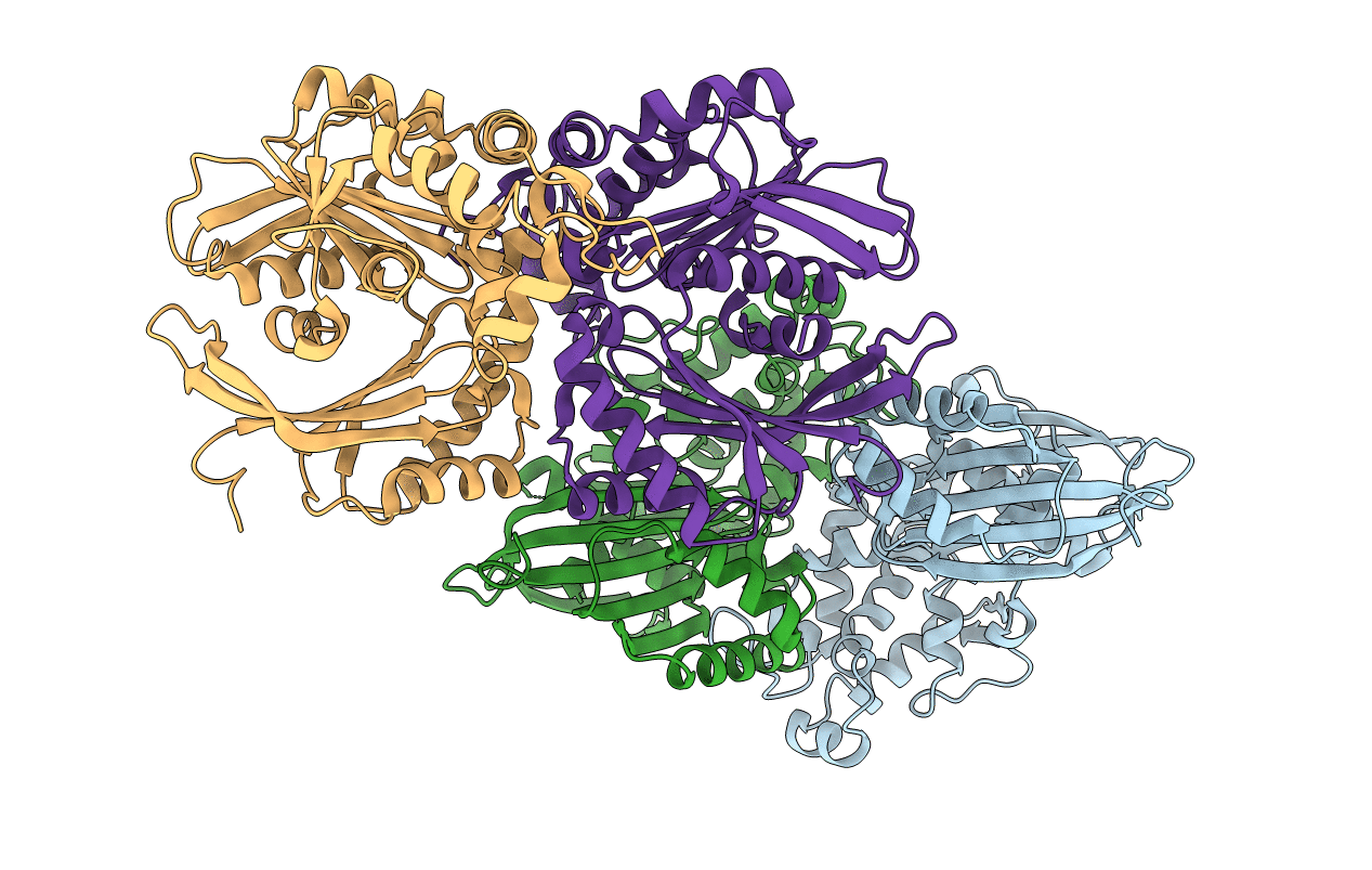4BRP image