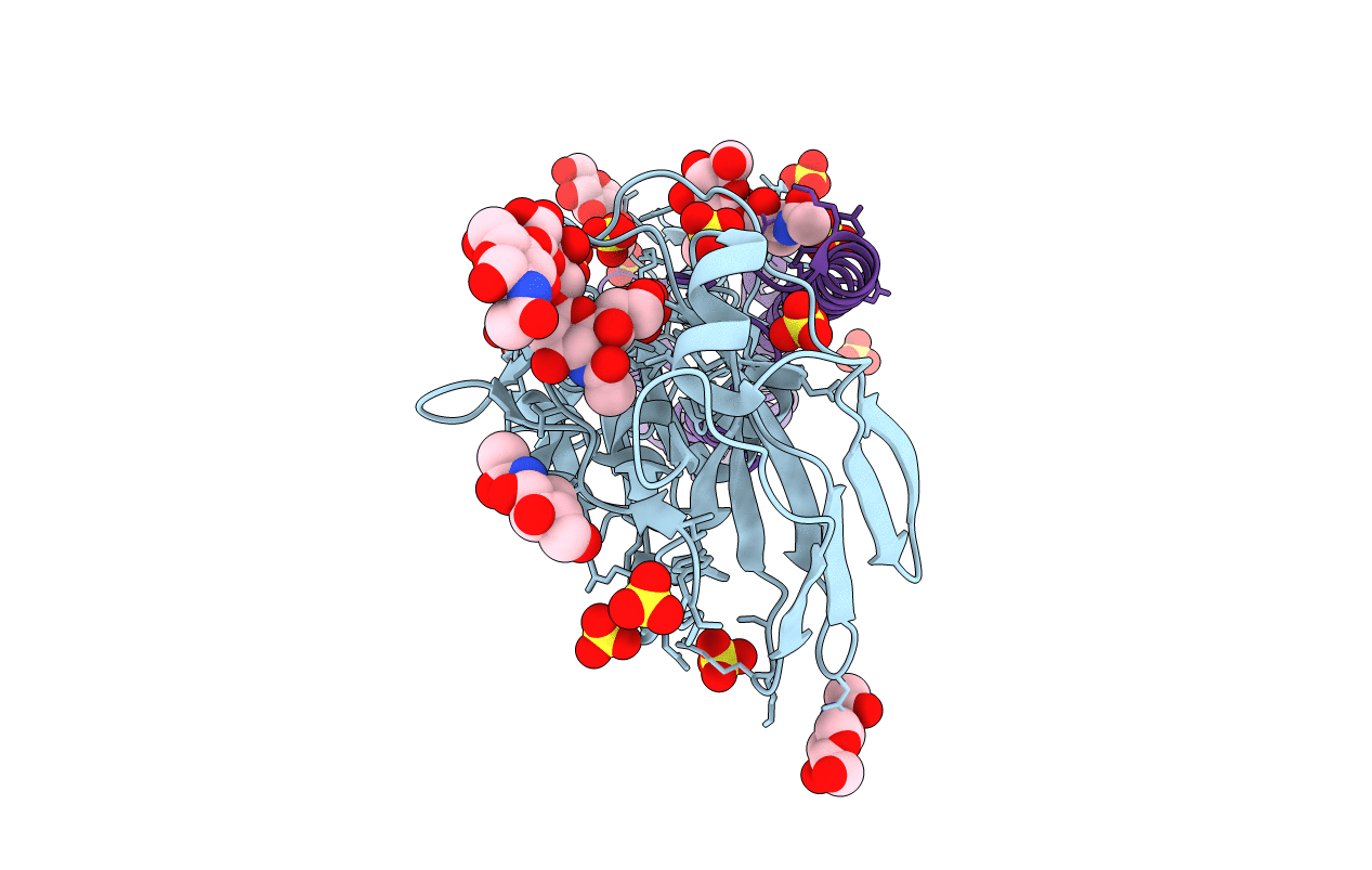 4BSB image
