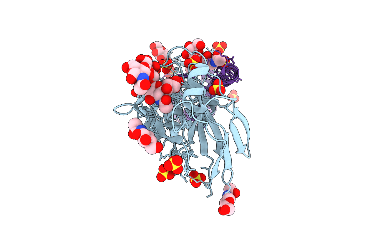 4BSC image