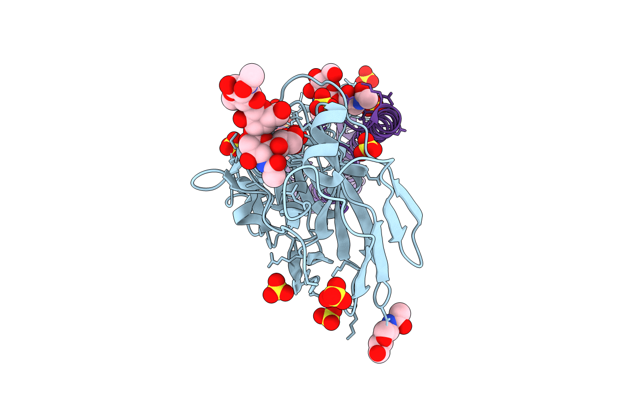 4BSI image