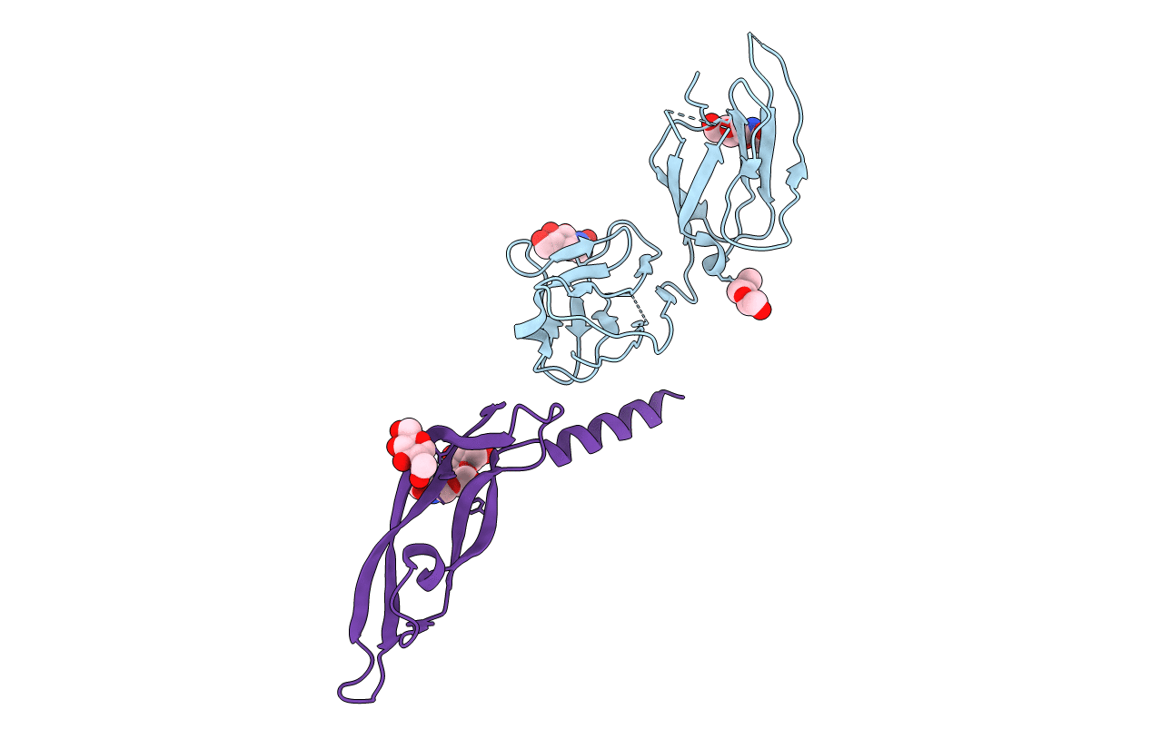 4BSK image