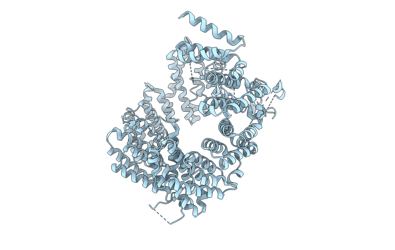 4BSM image