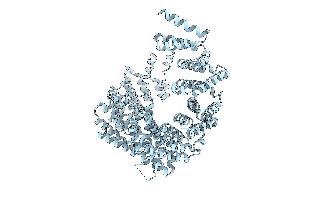 4BSN image