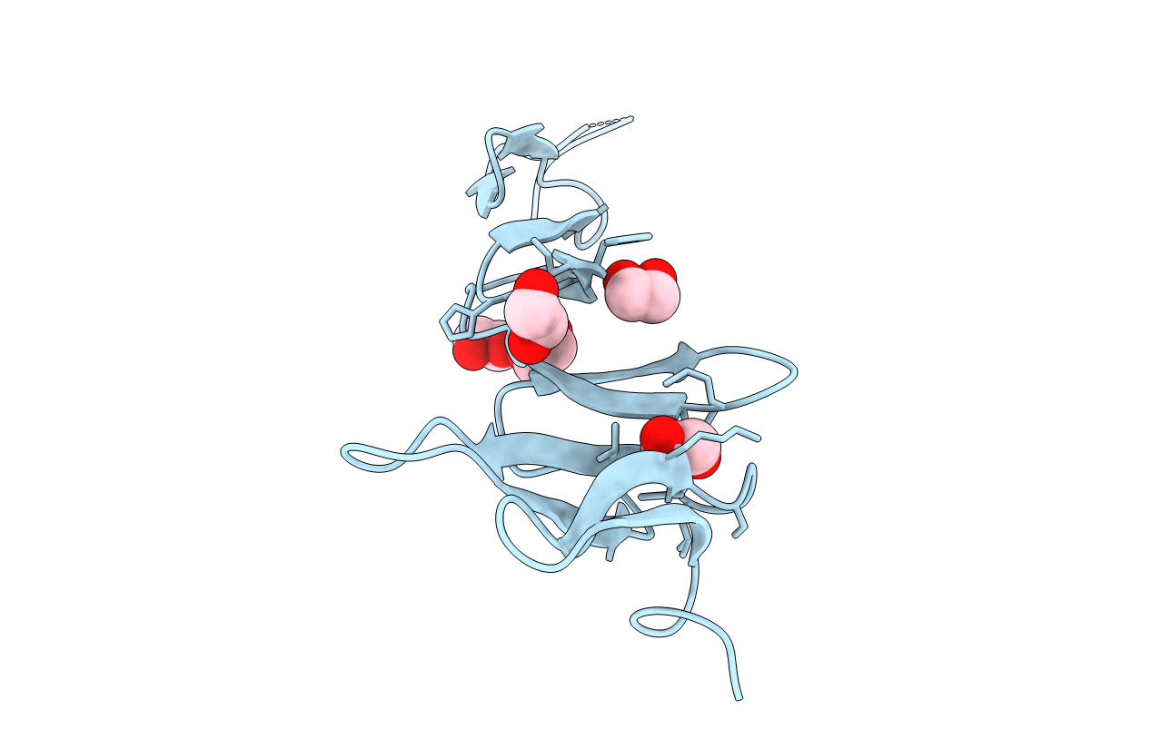 4BSO image