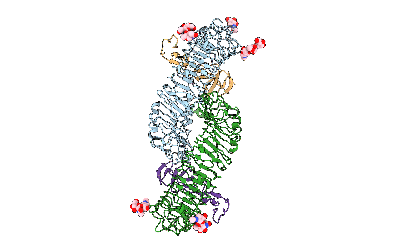 4BSR image