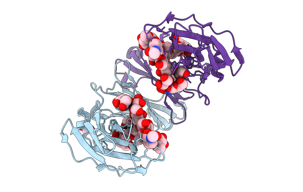 4BSW image