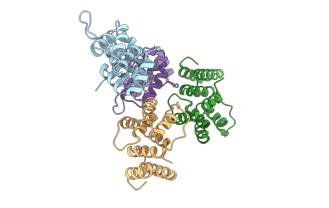 4BSX image