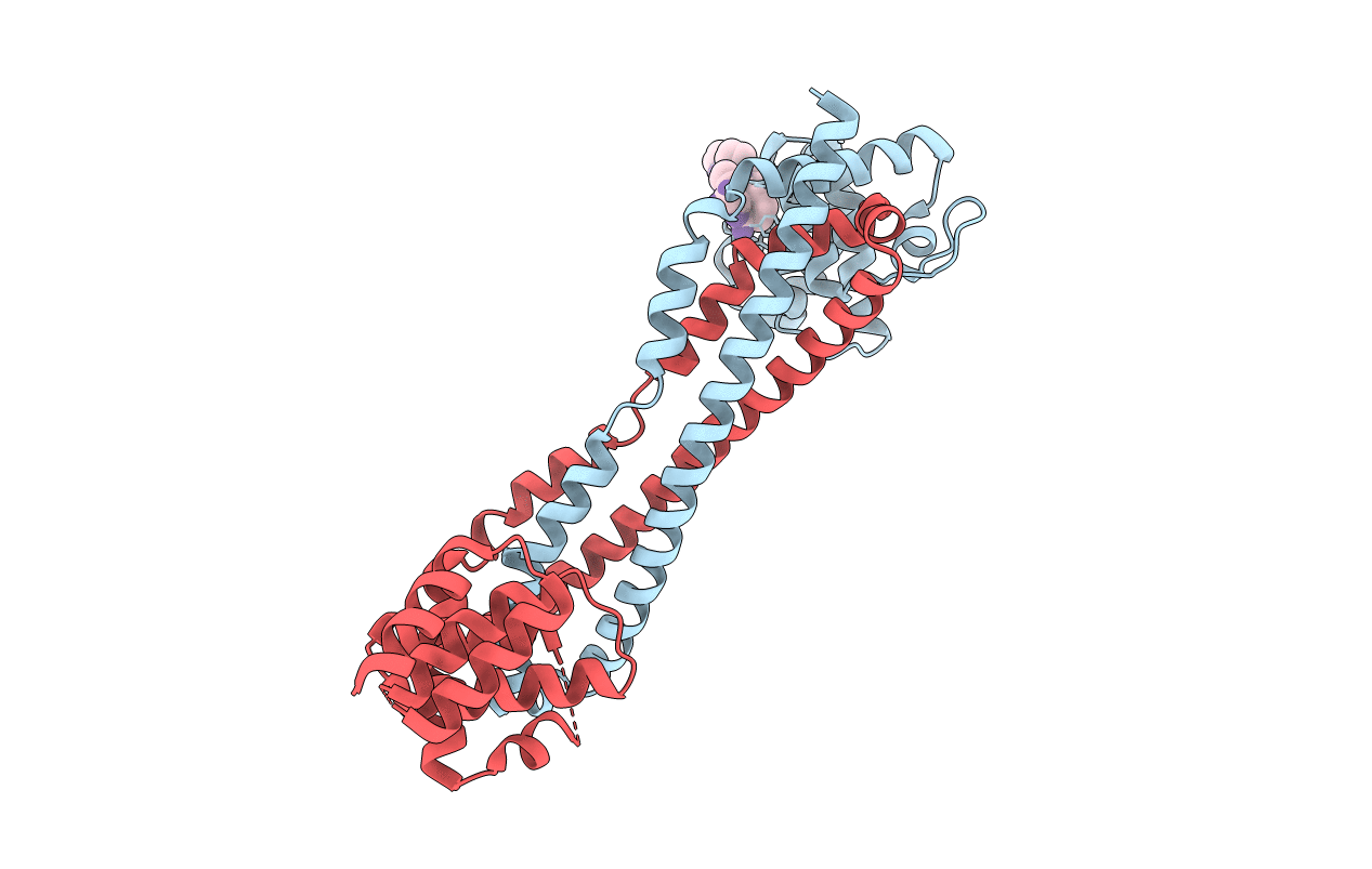 4BTA image