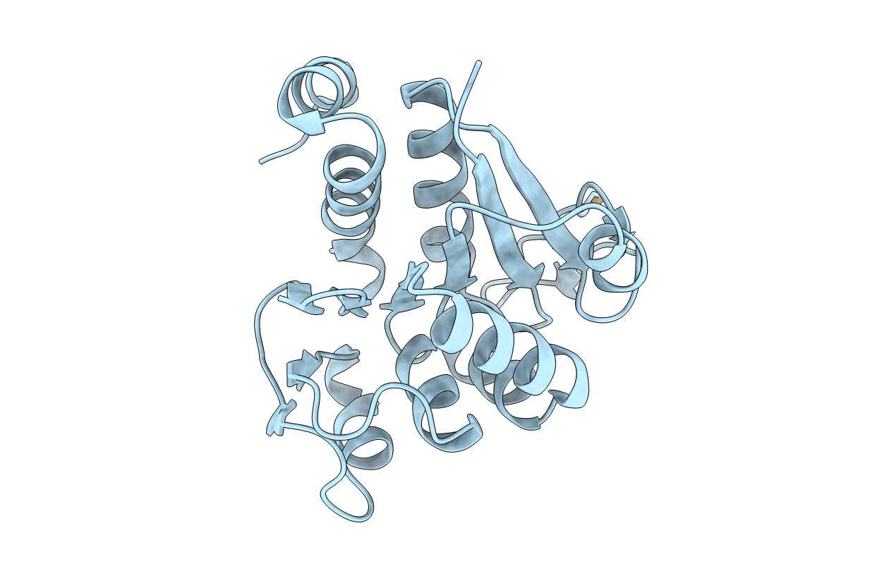 4BTE image