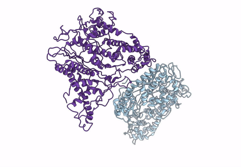 4BTG image