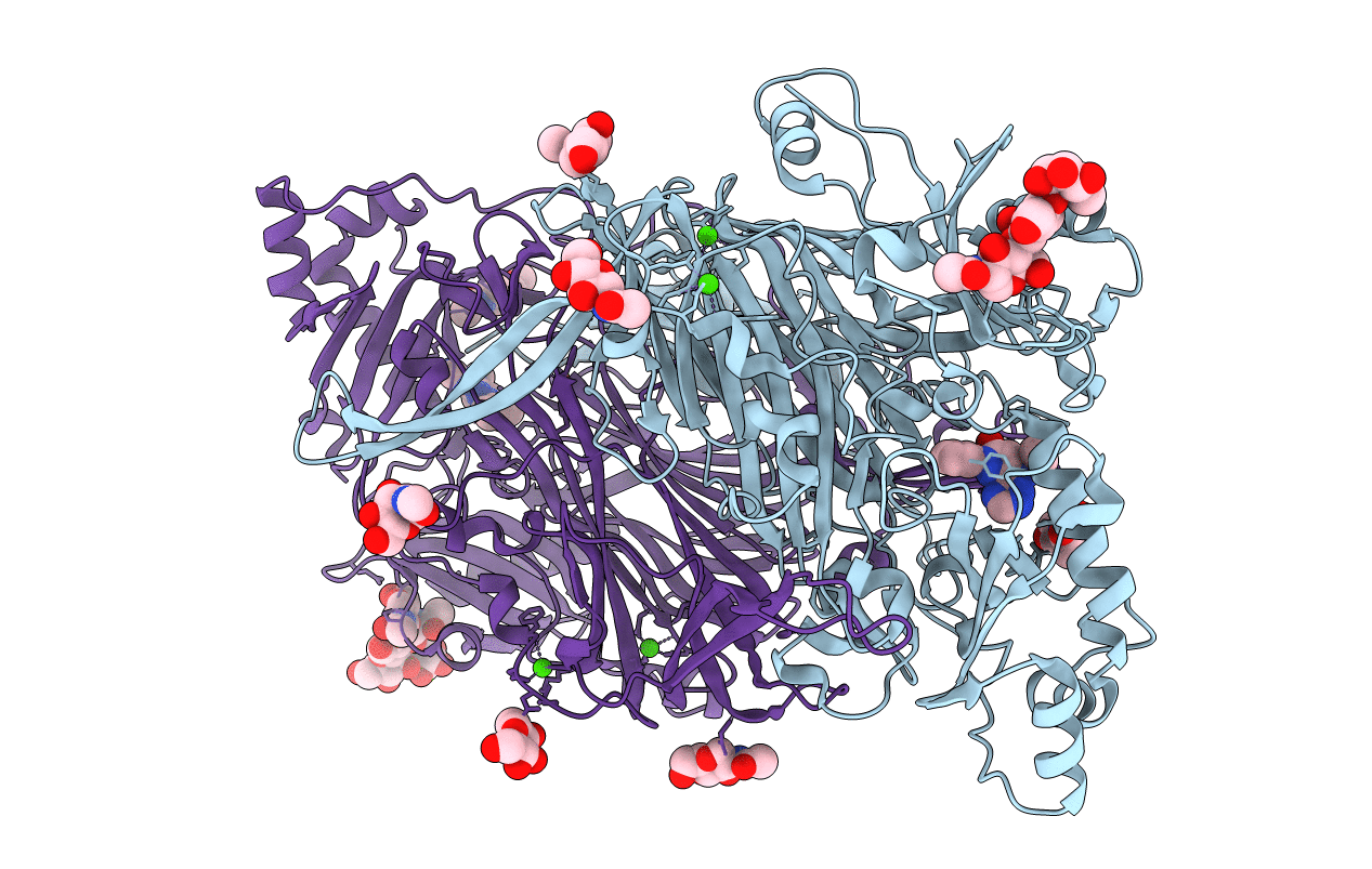 4BTX image
