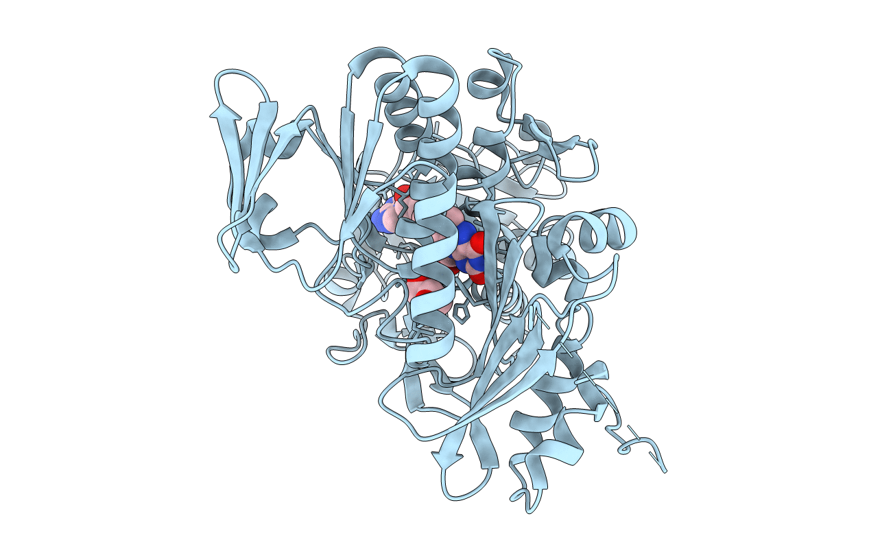 4BV6 image