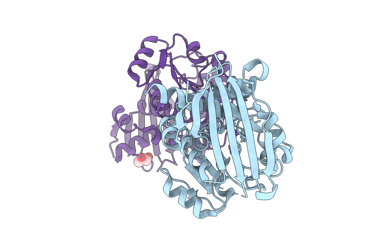 4BV8 image