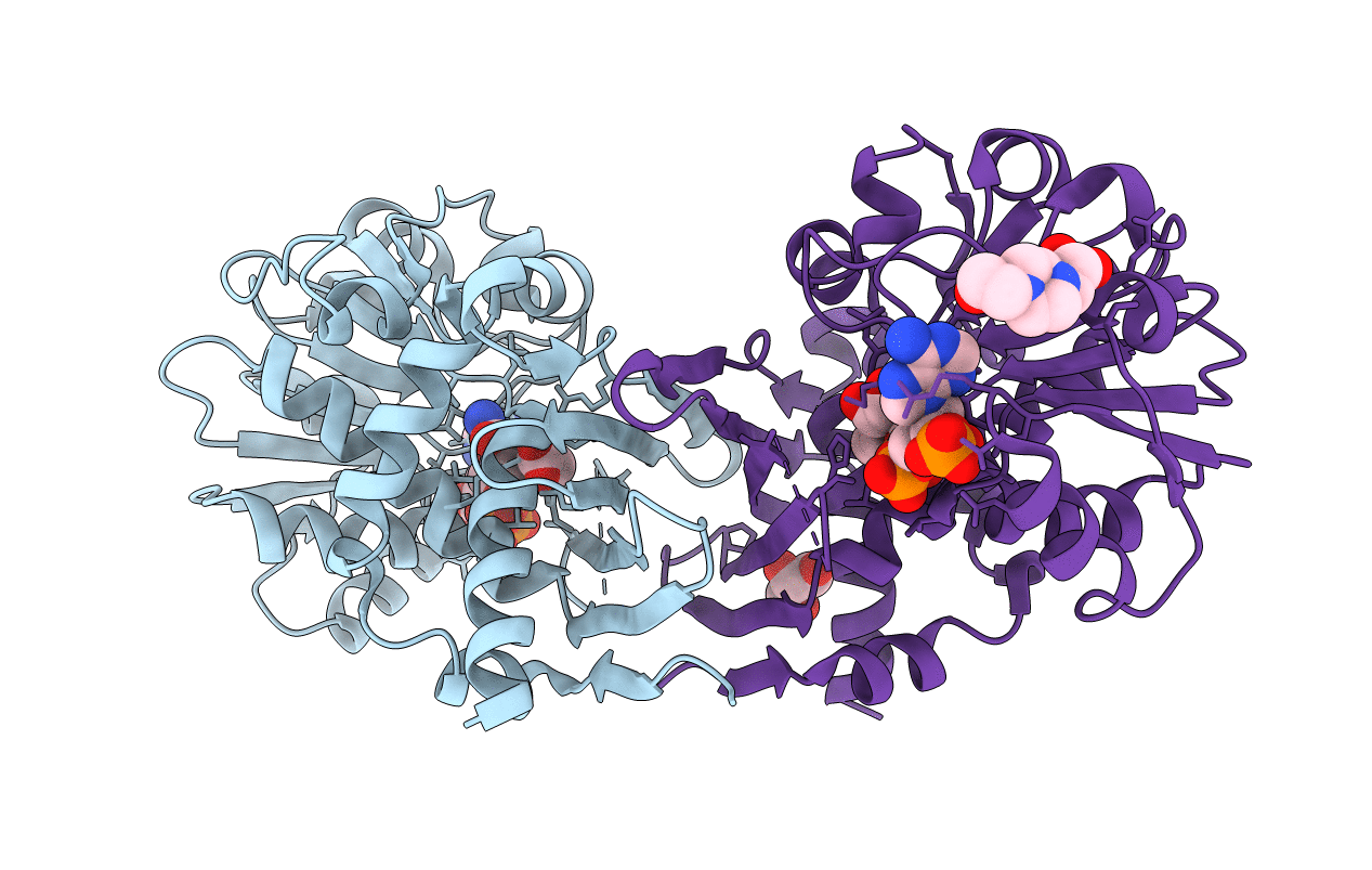 4BV9 image