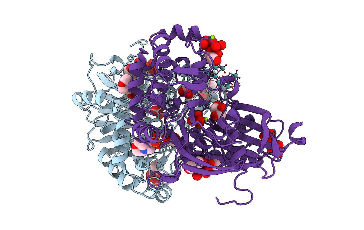 4BVP image