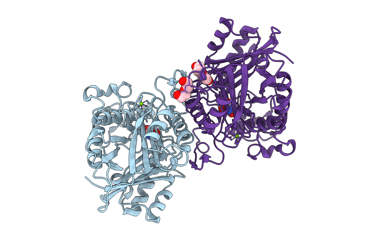4BVT image