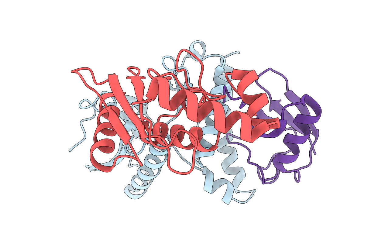 4BVU image