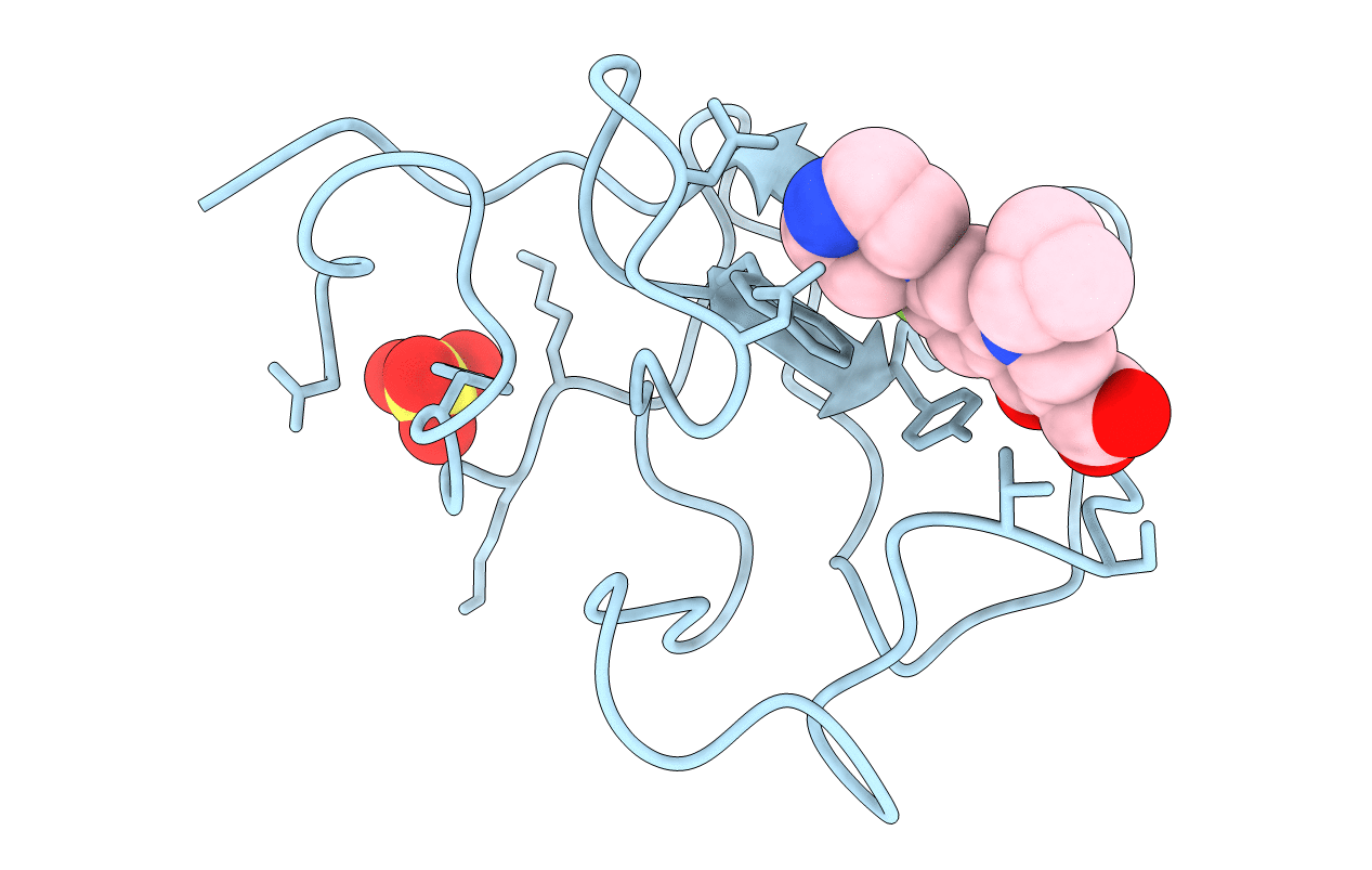 4BVV image