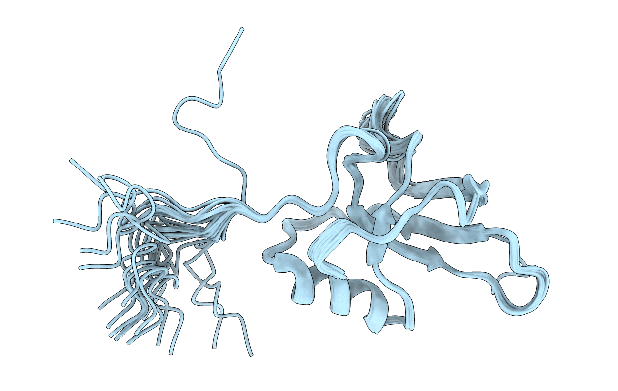 4BWH image