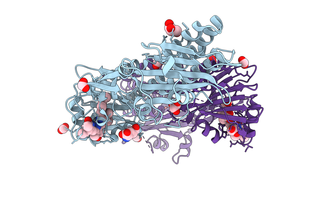 4BWI image