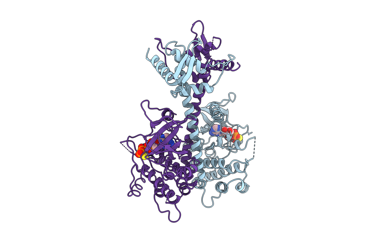 4BWK image