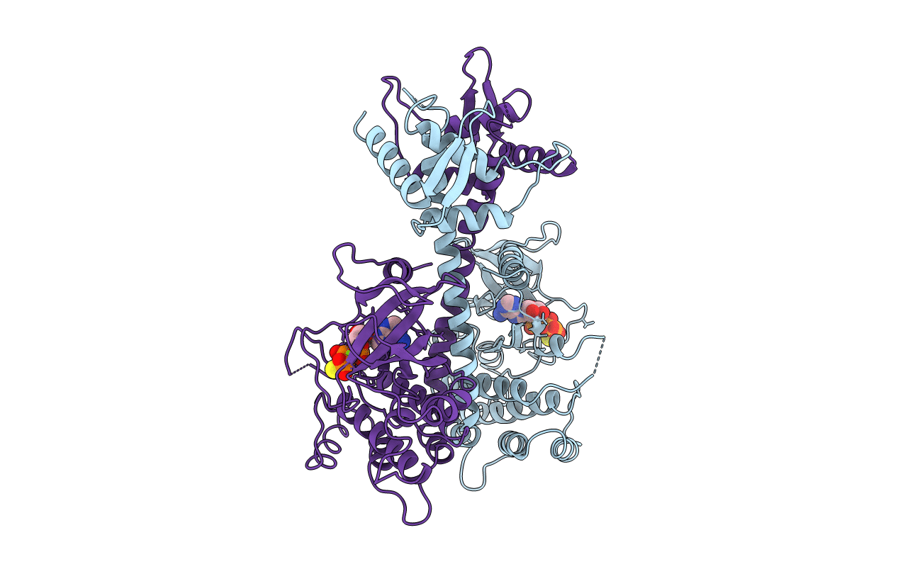 4BWX image